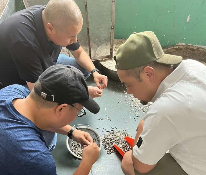 電磁炒貨設備 電磁炒貨設備