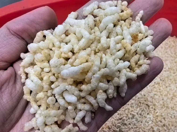 流水線炒貨機(jī) 流水線炒貨機(jī)